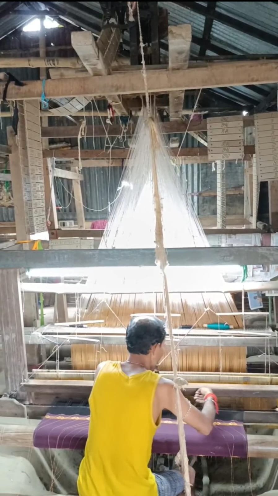 Manik - Tussar Silk & Dupatta Weaver